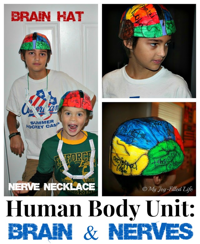 Brain Hat collage