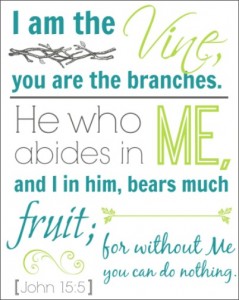 John 15:5 Printable - Teal & Lime