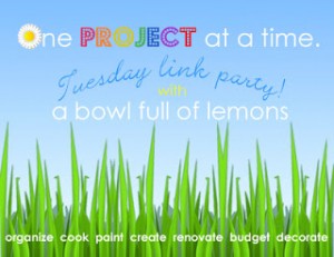 one-project-link-party-5