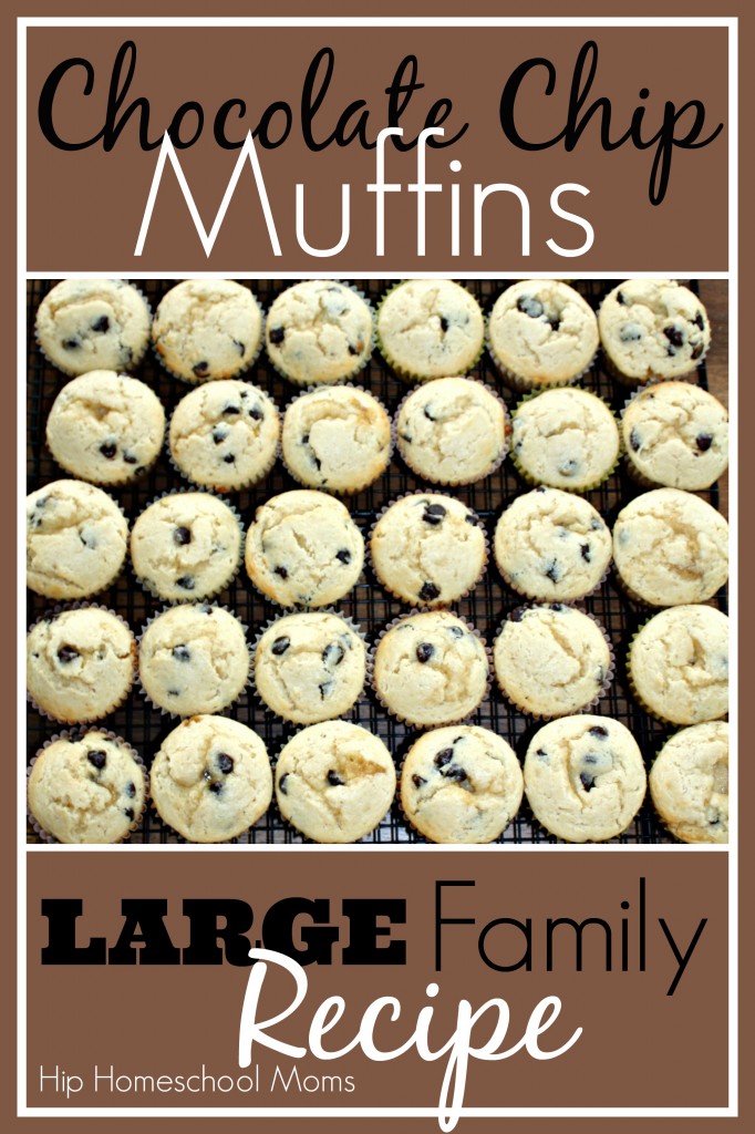 Chocolate Chip Muffins - Large Family Recipe HHM