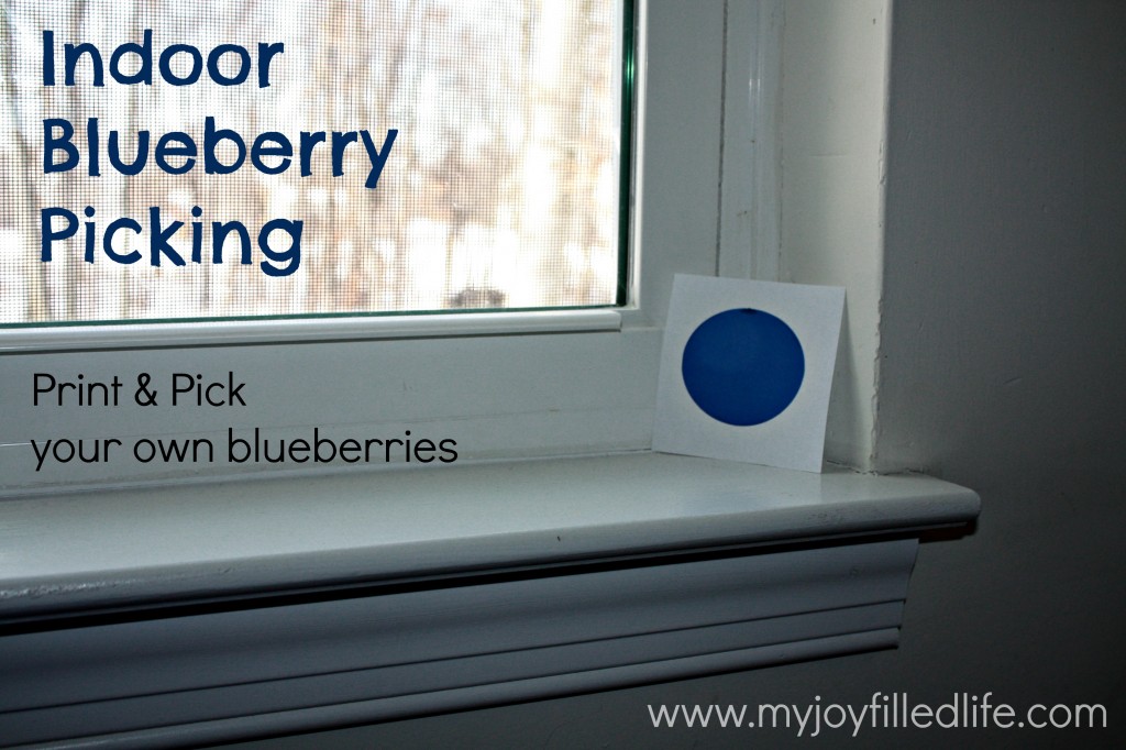 Indoor blueberry picking