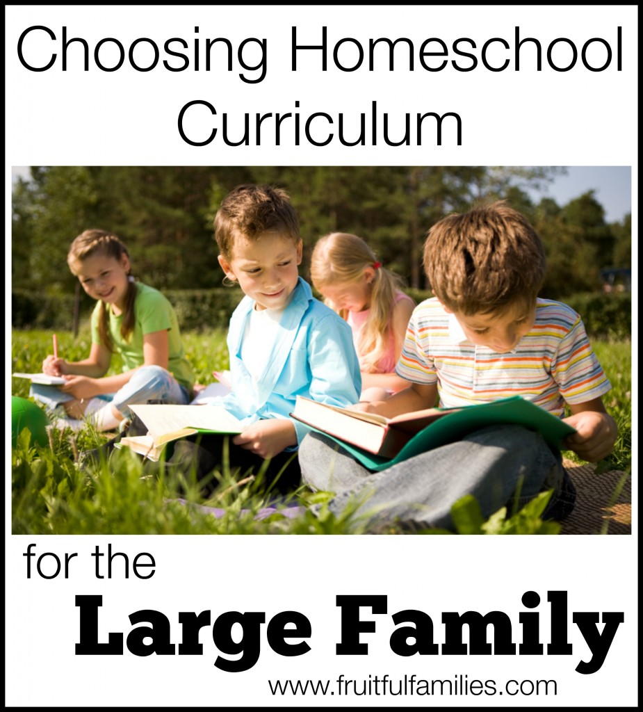 Choosing Homeschool Curriculum for the Large Family