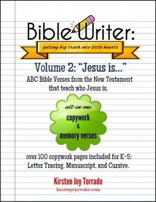 Bible-Writer-2D-309x400
