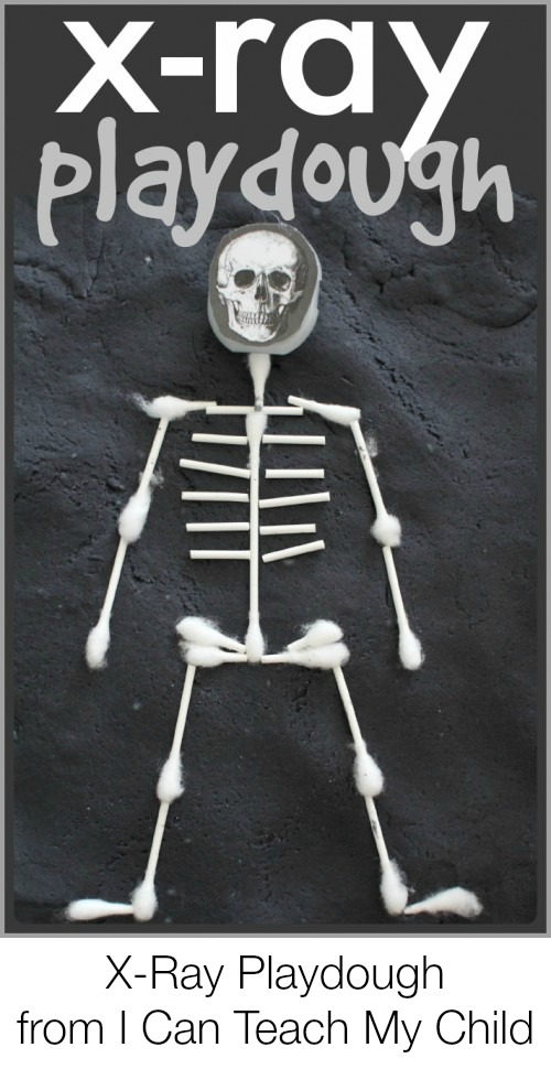 Learn-about-the-skeletal-system-with-X-Ray-Playdough--500x8511