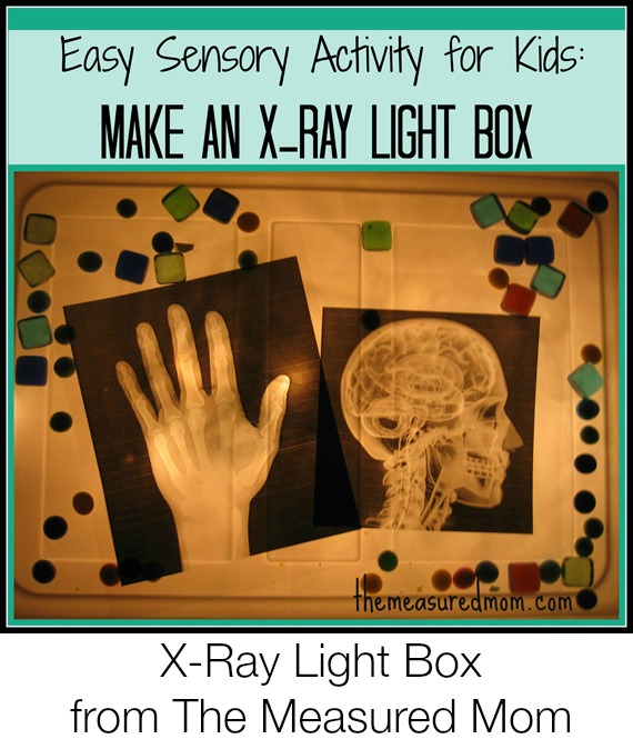simple-sensory-fun-x-ray-light-box-the-measured-mom11