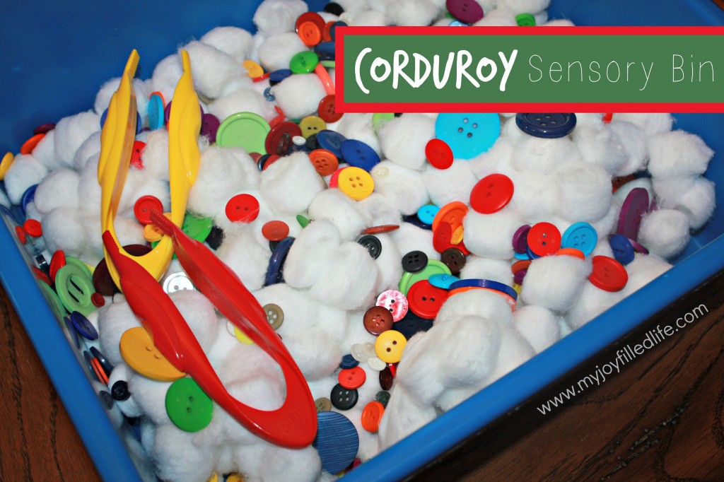 Corduroy Sensory Bin