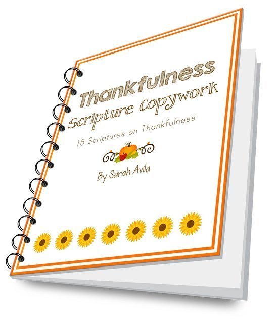 Thankfulness Scripture Copywork 3D Image