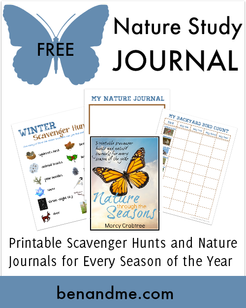 Free-Nature-Study-Journal-Winter