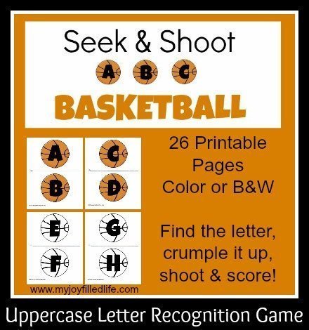 seek and shoot graphic