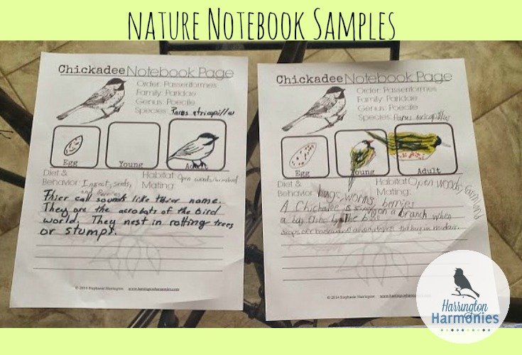Nature Notebook Samples