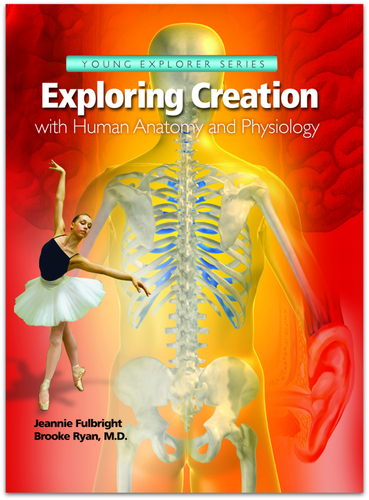Anatomy apologia drop - My Joy-Filled Life