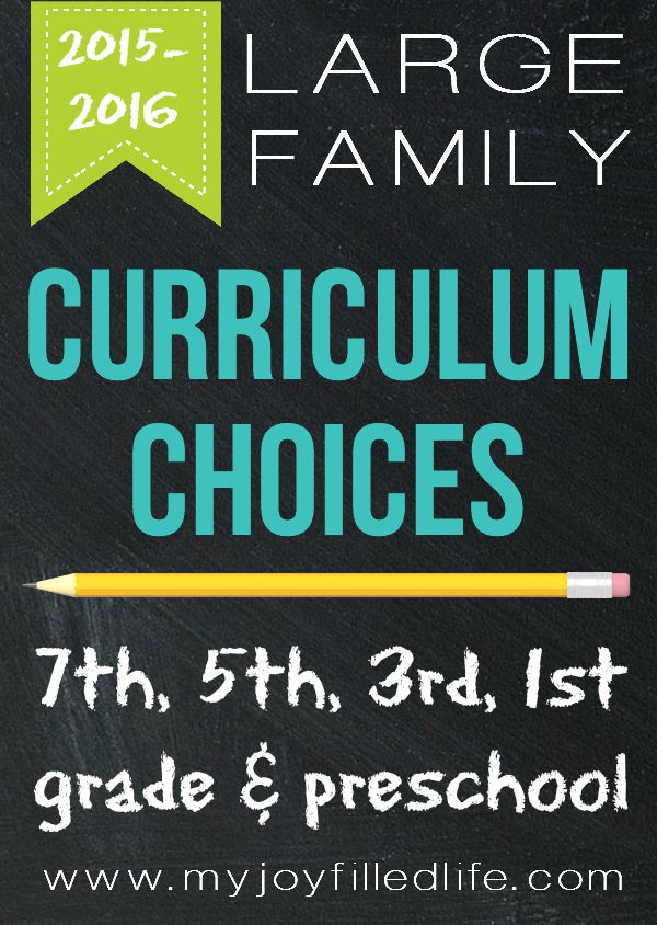 Large Family Curriculum Choices