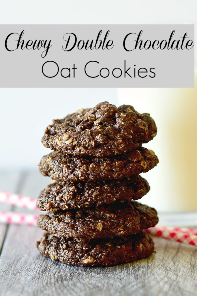 Chewy Double Chocolate Oat Cookies