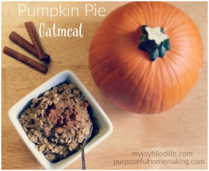 pumpkin pie oatmeal pin