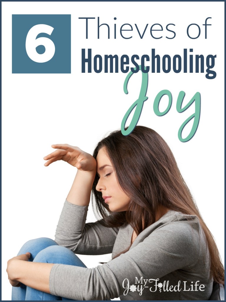 6 Thieves of Homeschooling Joy - My Joy-Filled Life