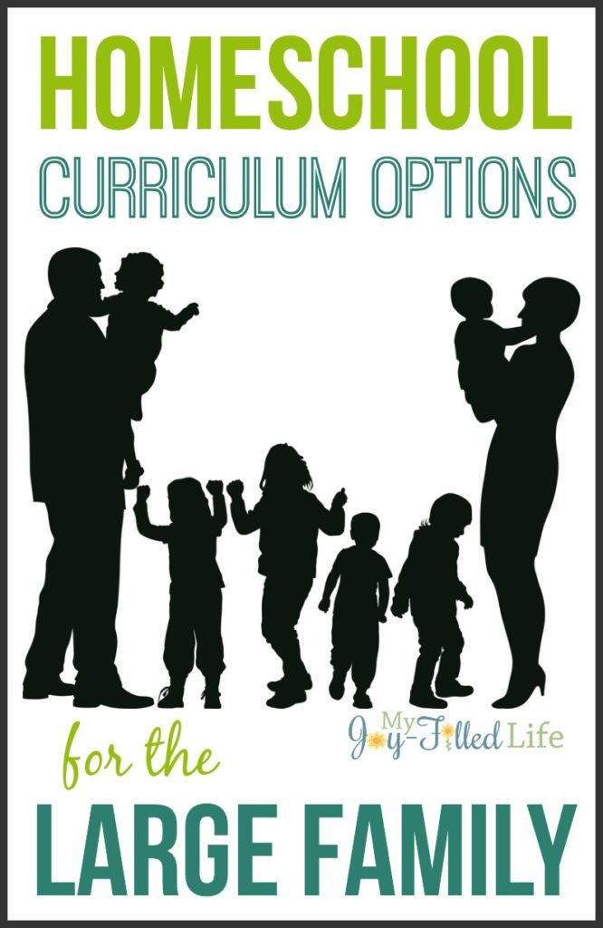 Homeschool Curriculum Options for the Large Family