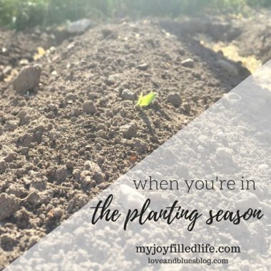The Planting Season
