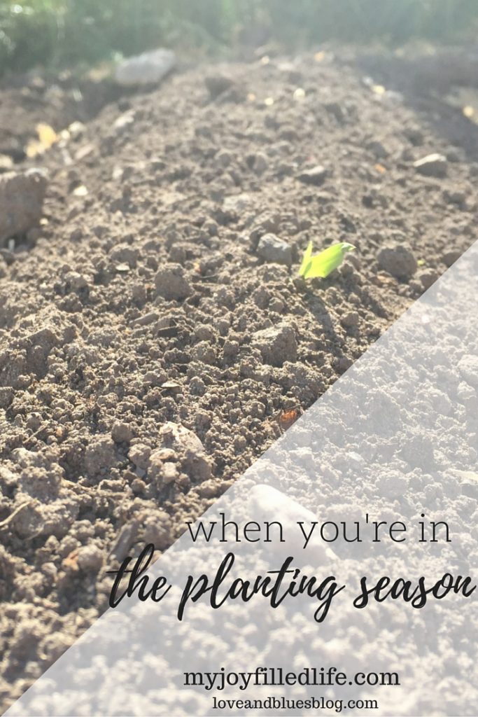 The Planting Season