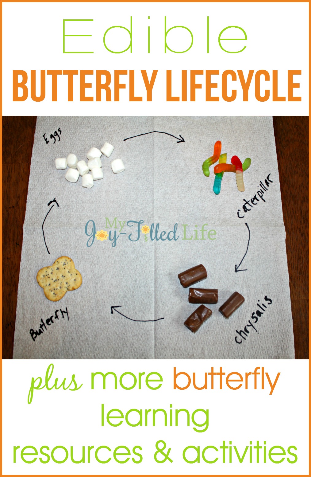 Edible Butterfly Lifecycle