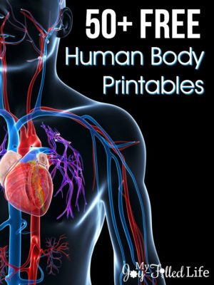 50+ FREE Human Body Printables - My Joy-Filled Life
