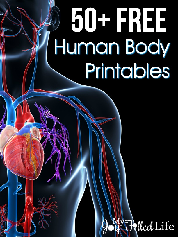 50+ FREE Human Body Printables