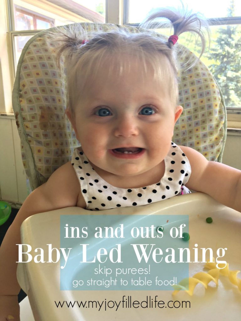 Ins and Outs of Baby Led Weaning