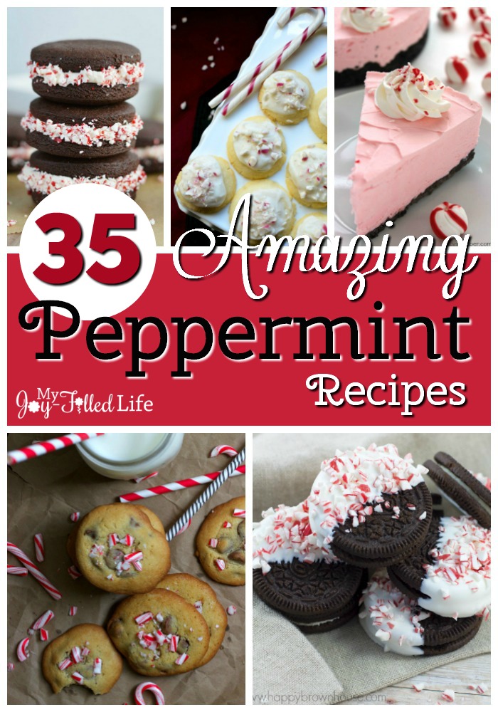 35 Amazing Peppermint Recipes