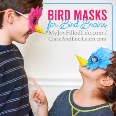 Bird Masks for Bird Brains