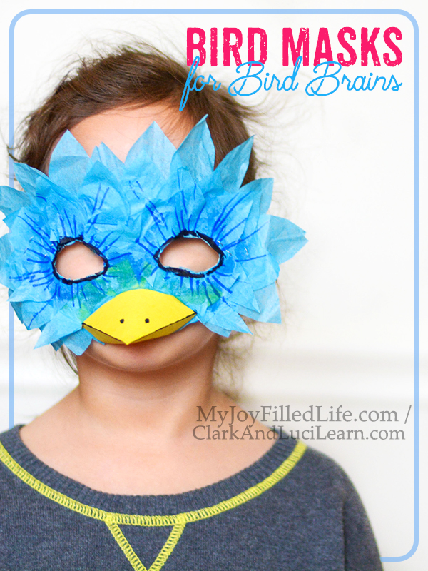 Bird Masks for Bird Brains