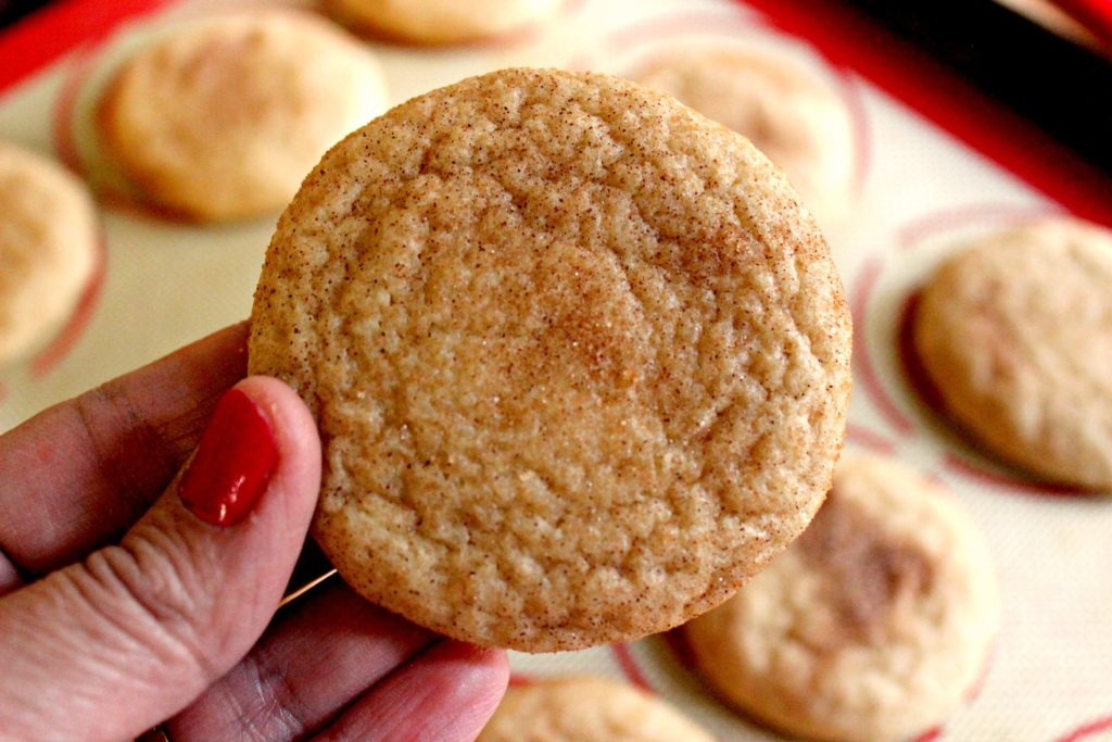 Copycat Mrs. Fields Cookies