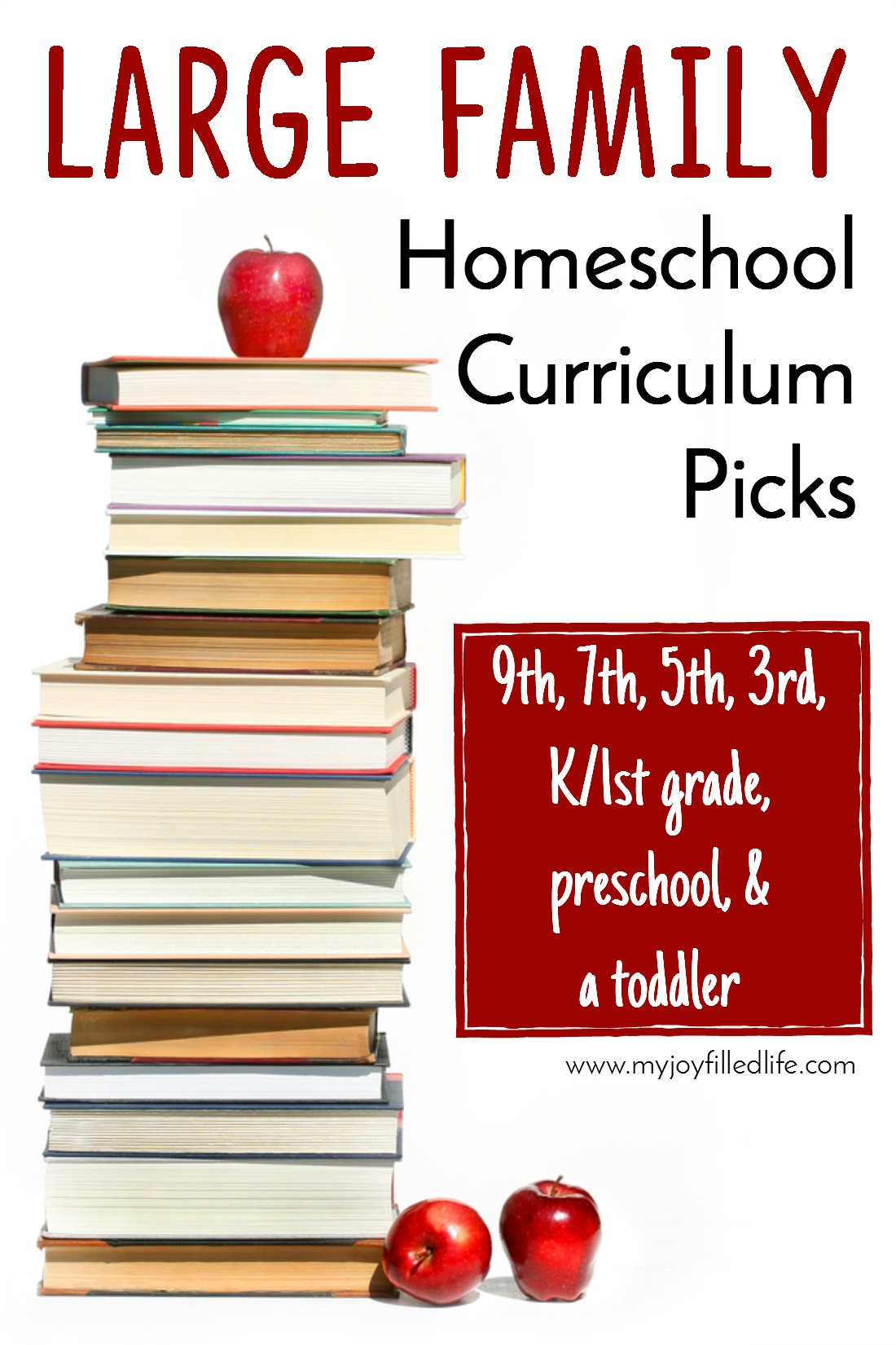 Large Family Homeschool Curriculum Picks