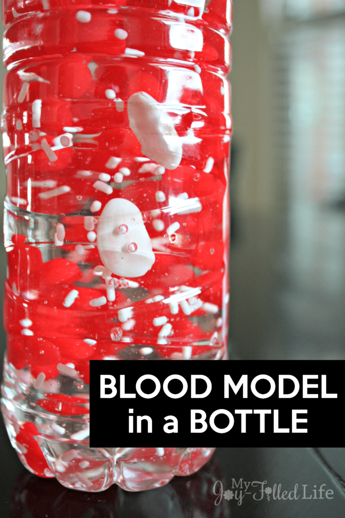 Kids will love learning about the components of blood with this fun and memorable activity!