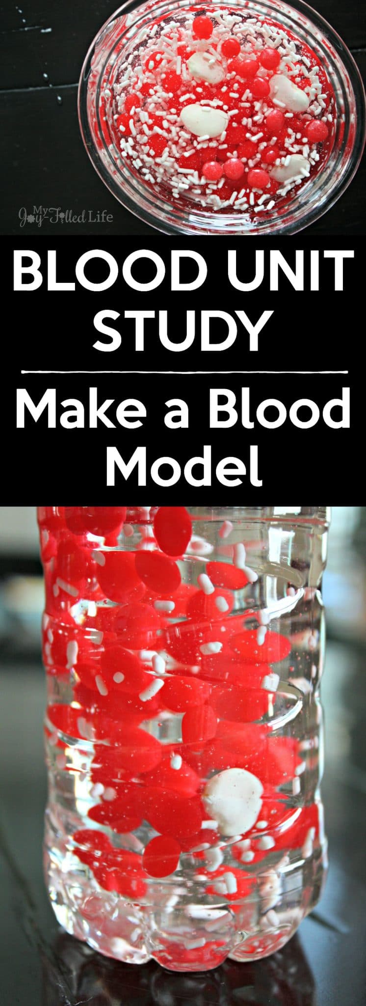 Kids will love learning about the components of blood with this fun and memorable activity - make a blood model! Plus a list of even more great ways to learn about blood. 