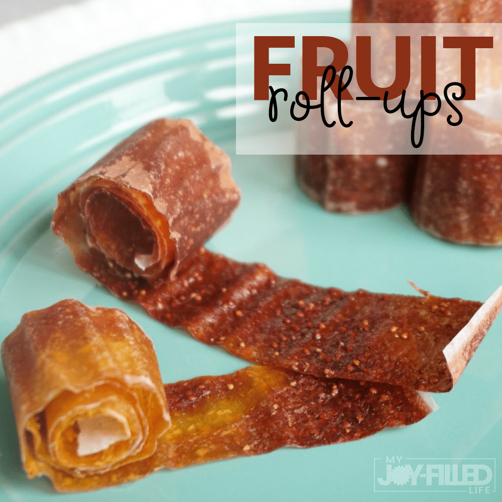 Healthy Homemade Fruit Roll-Ups - The Soccer Mom Blog