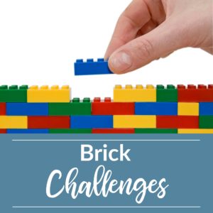 Brick Challenges