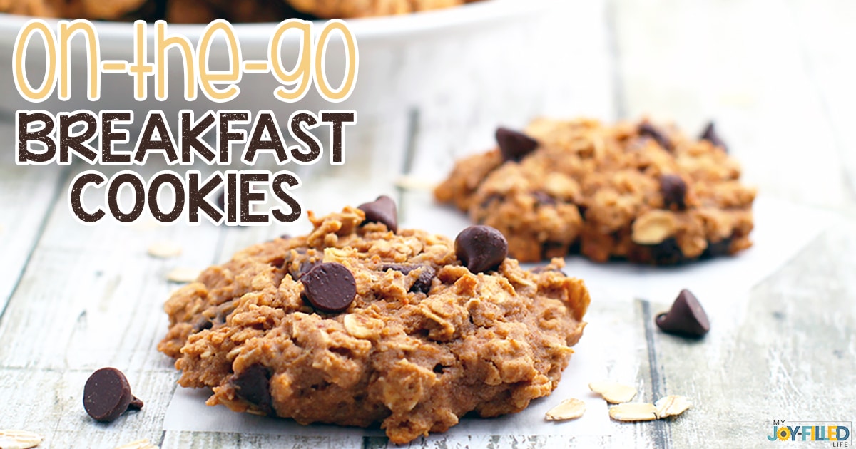 Breakfast cookies final