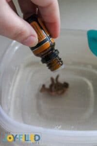 Adding Gingerbread Oil and Paint for Homemade Slime Recipe