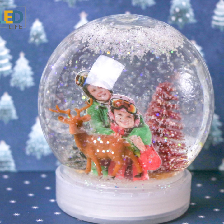 DIY Photo Snow Globe