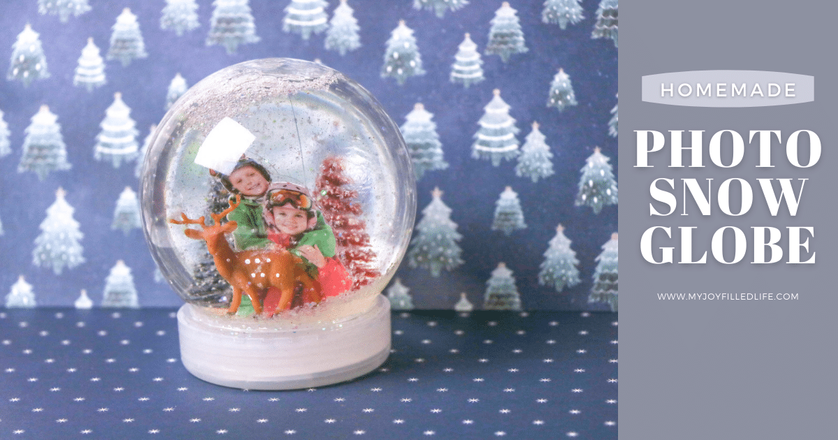 DIY Photo Snow Globe FB