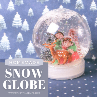 Picture Snow Globe