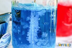 Rock Candy Experiment Sugar Crystal Formation
