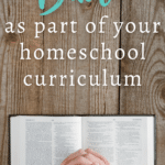 Homeschool Bible Curriculum Tips
