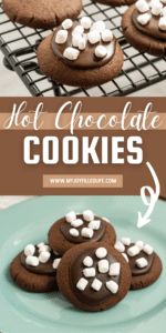 Delicious Hot Chocolate Cookies