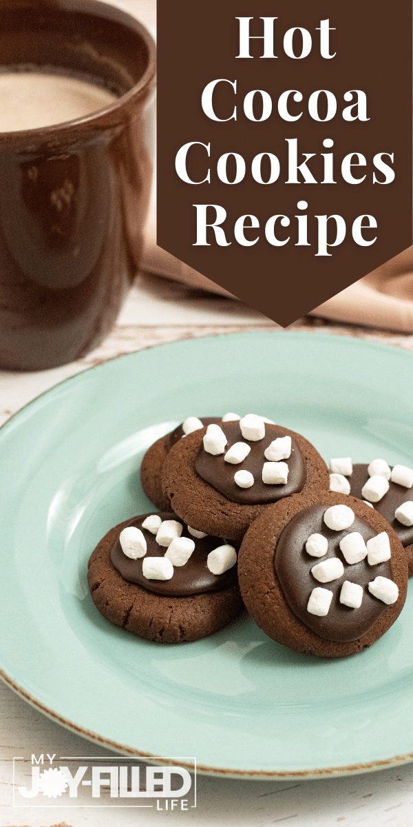 Hot Chocolate Cookies