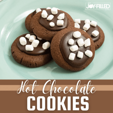 Hot Chocolate Cookies Square