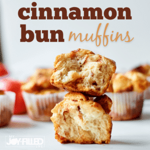 Simple Cinnamon Sugar Muffins