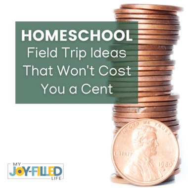 Homeschool Field Trip Ideas