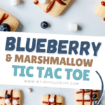 Blueberry Snacks Ideas for Kids