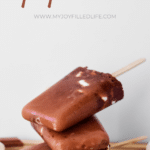 Chocolate Smores Popsicles