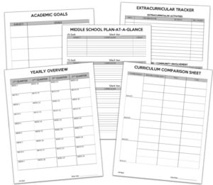 3 Year Plan Pages